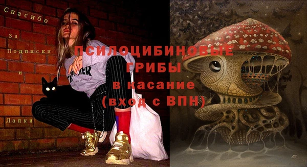 не бодяженный Медвежьегорск