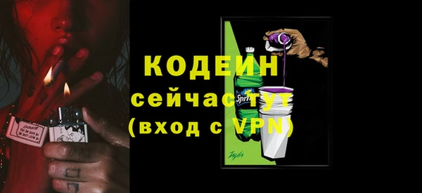 стаф Туринск