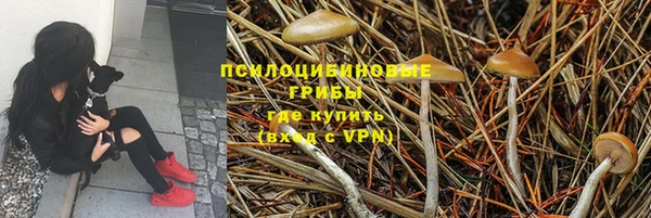 не бодяженный Медвежьегорск