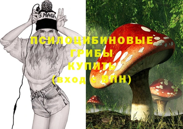 не бодяженный Медвежьегорск