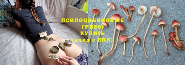 не бодяженный Медвежьегорск