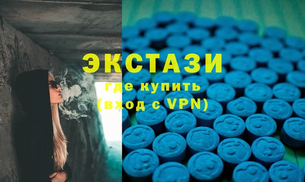 стаф Туринск